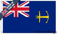 Government Service Ensign Flag